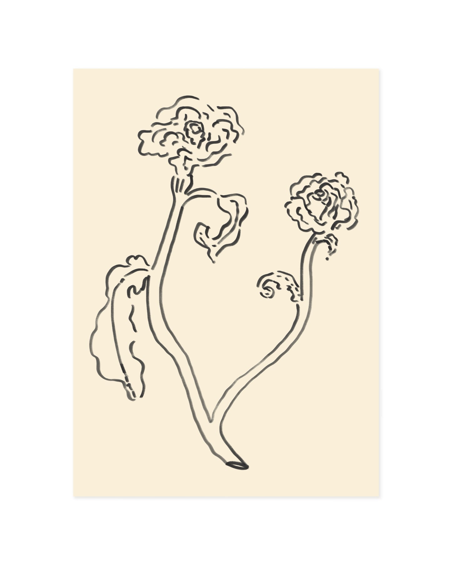 Floral. Study printable wall art by Paperhus