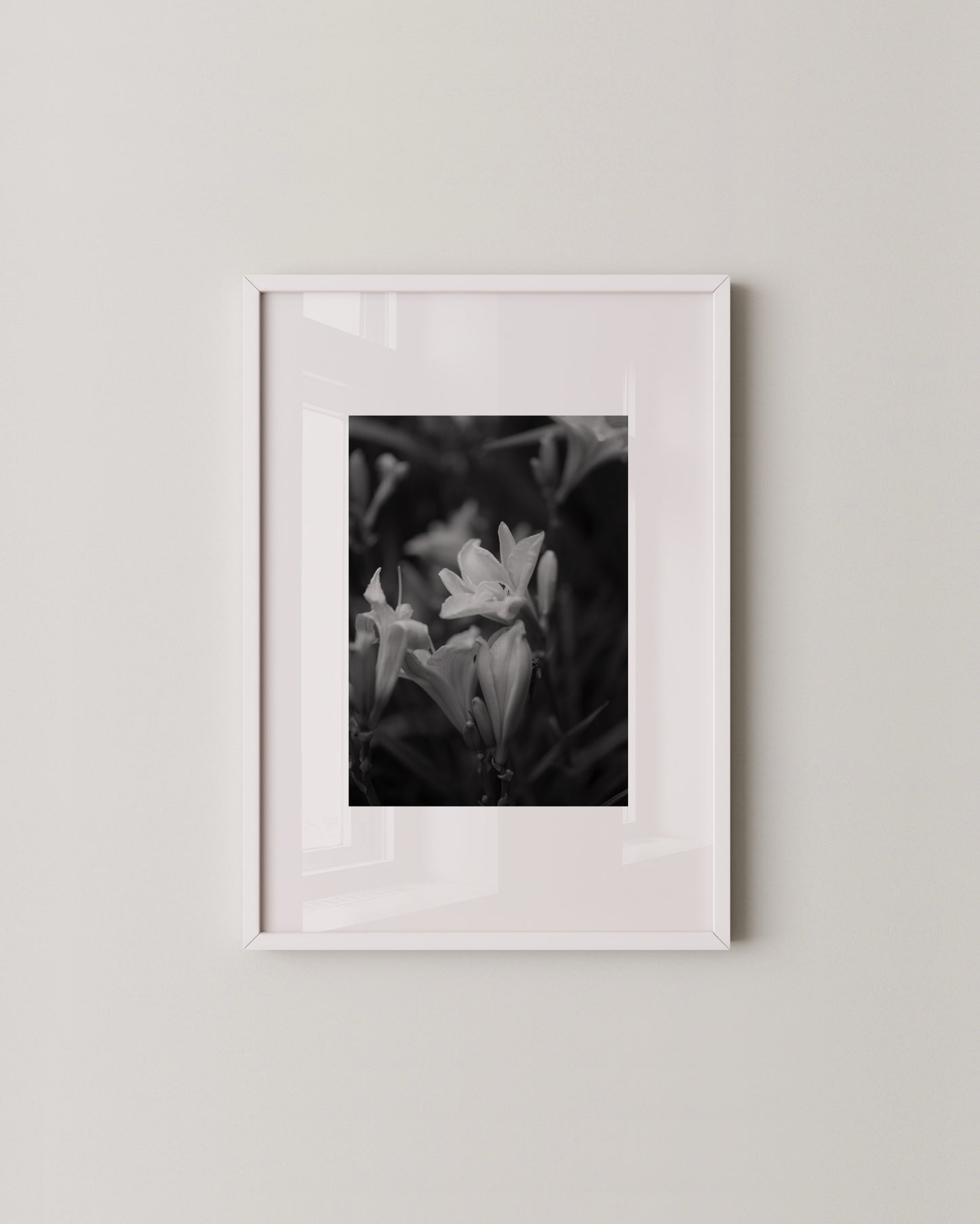 Shadow Bloom Print- Wall Art -Paperhus- Printable wall art - Instant downloads - DIY home decor -Paperhus