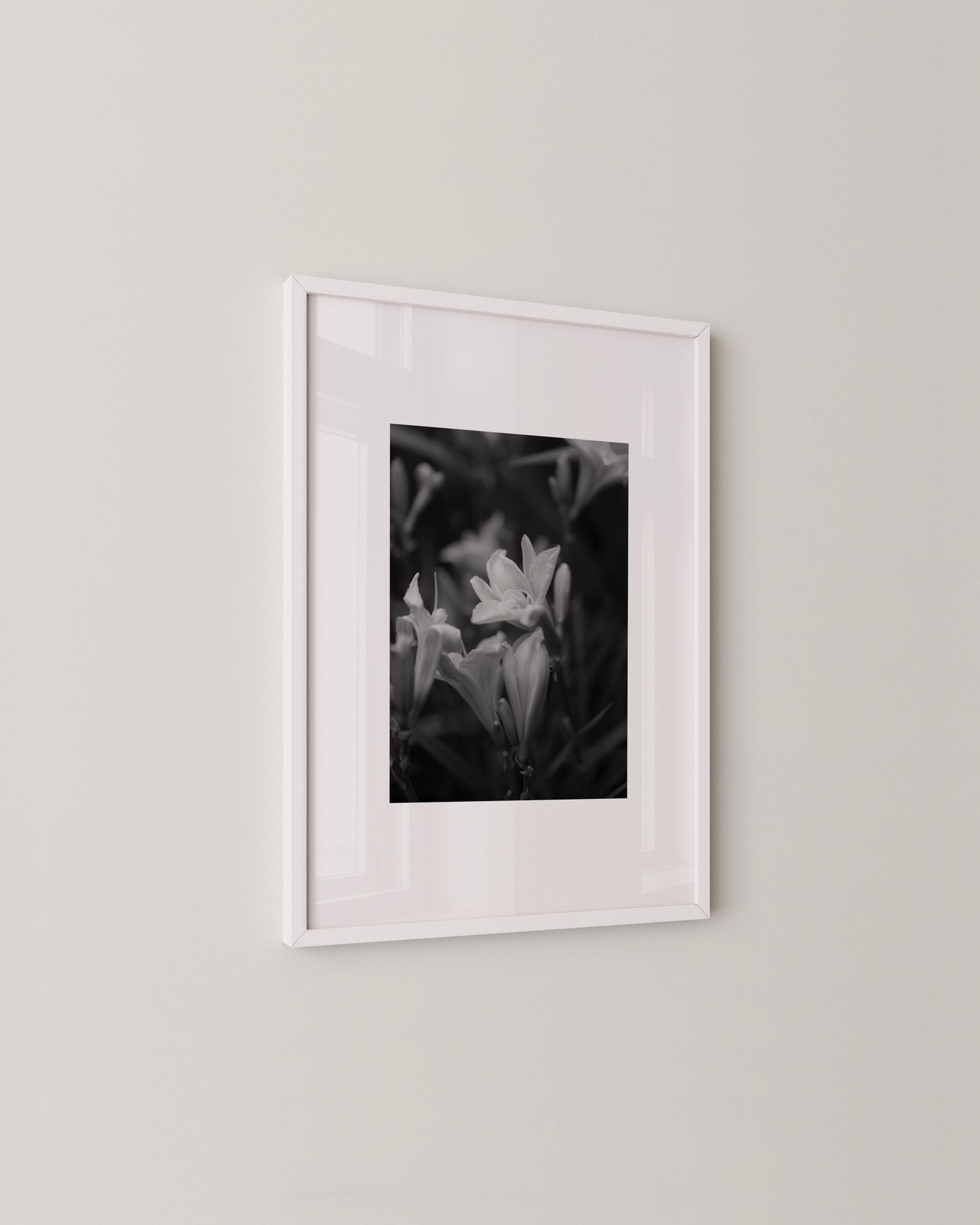 Shadow Bloom Print- Wall Art -Paperhus- Printable wall art - Instant downloads - DIY home decor -Paperhus