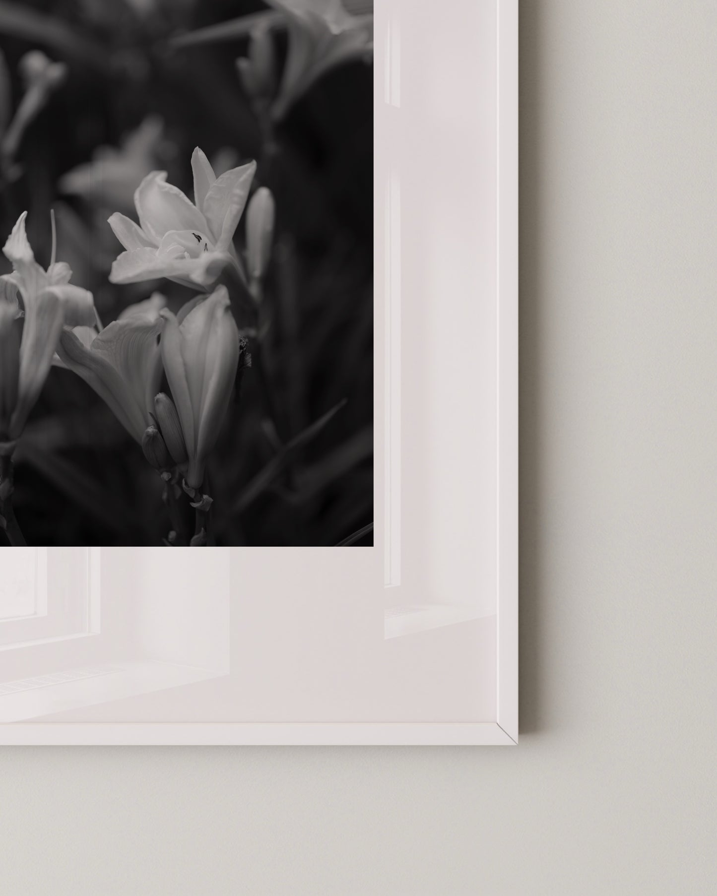 Shadow Bloom Print- Wall Art -Paperhus- Printable wall art - Instant downloads - DIY home decor -Paperhus