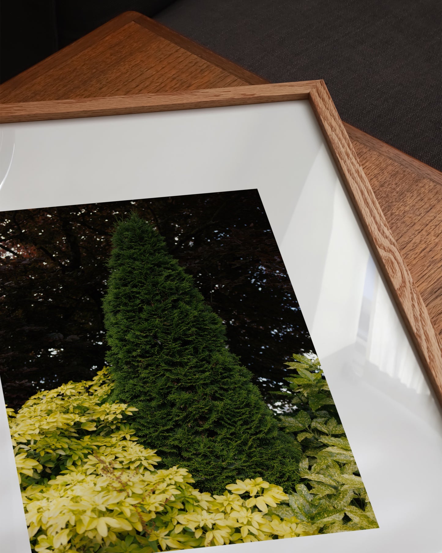 Cone Tree Print- Wall Art -Paperhus- Printable wall art - Instant downloads - DIY home decor -Paperhus