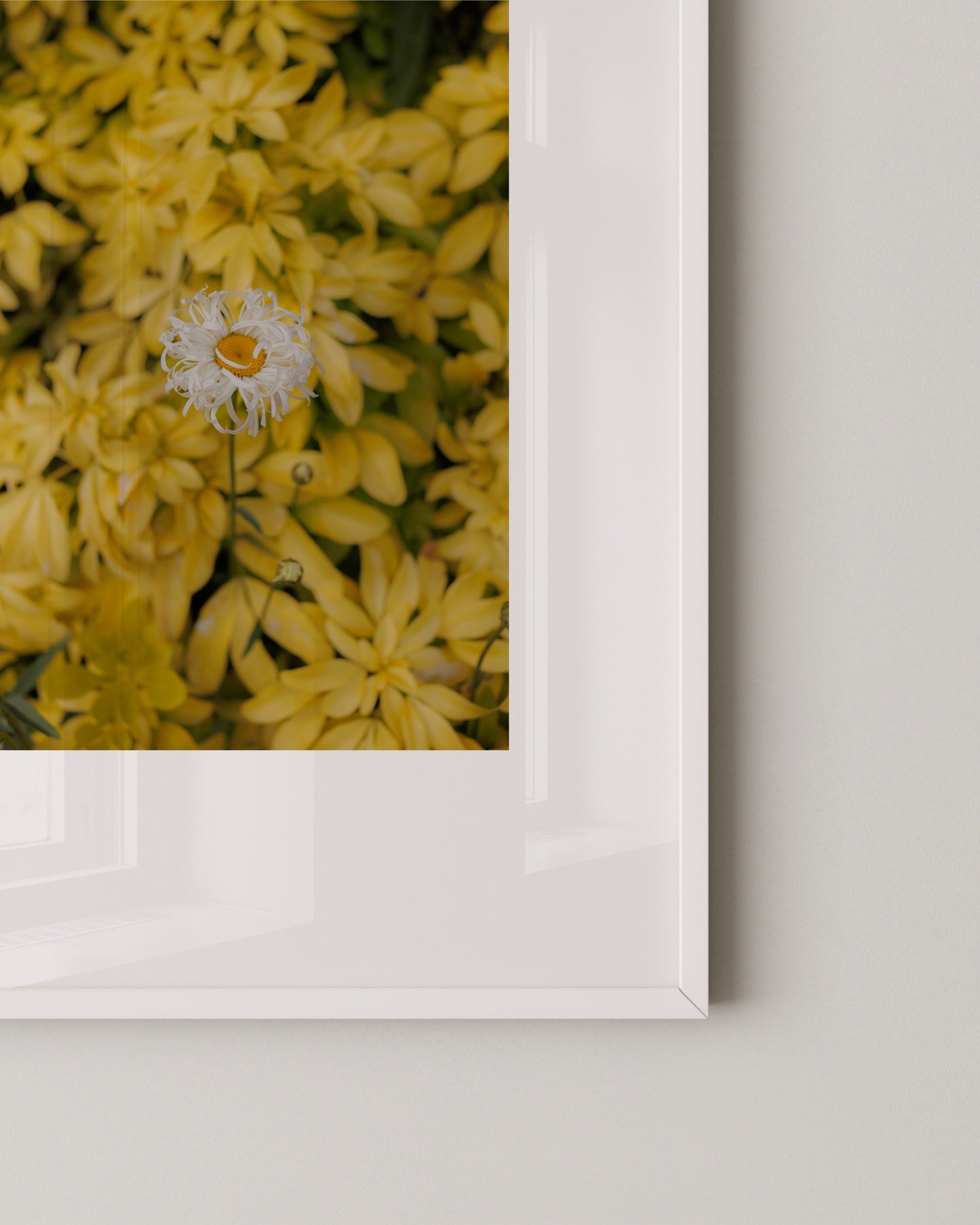 Single Flor Print- Wall Art -Paperhus- Printable wall art - Instant downloads - DIY home decor -Paperhus