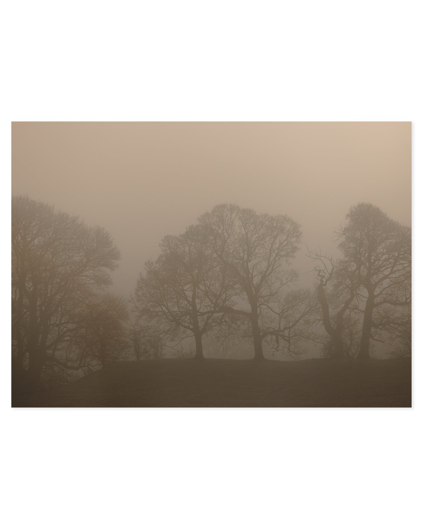 Moody Tones. Woodland II printable wall art by Paperhus