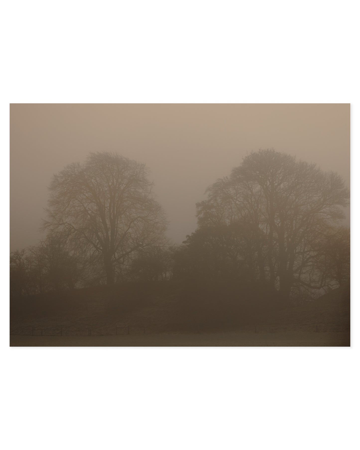 Moody Tones. Woodland I printable wall art by Paperhus