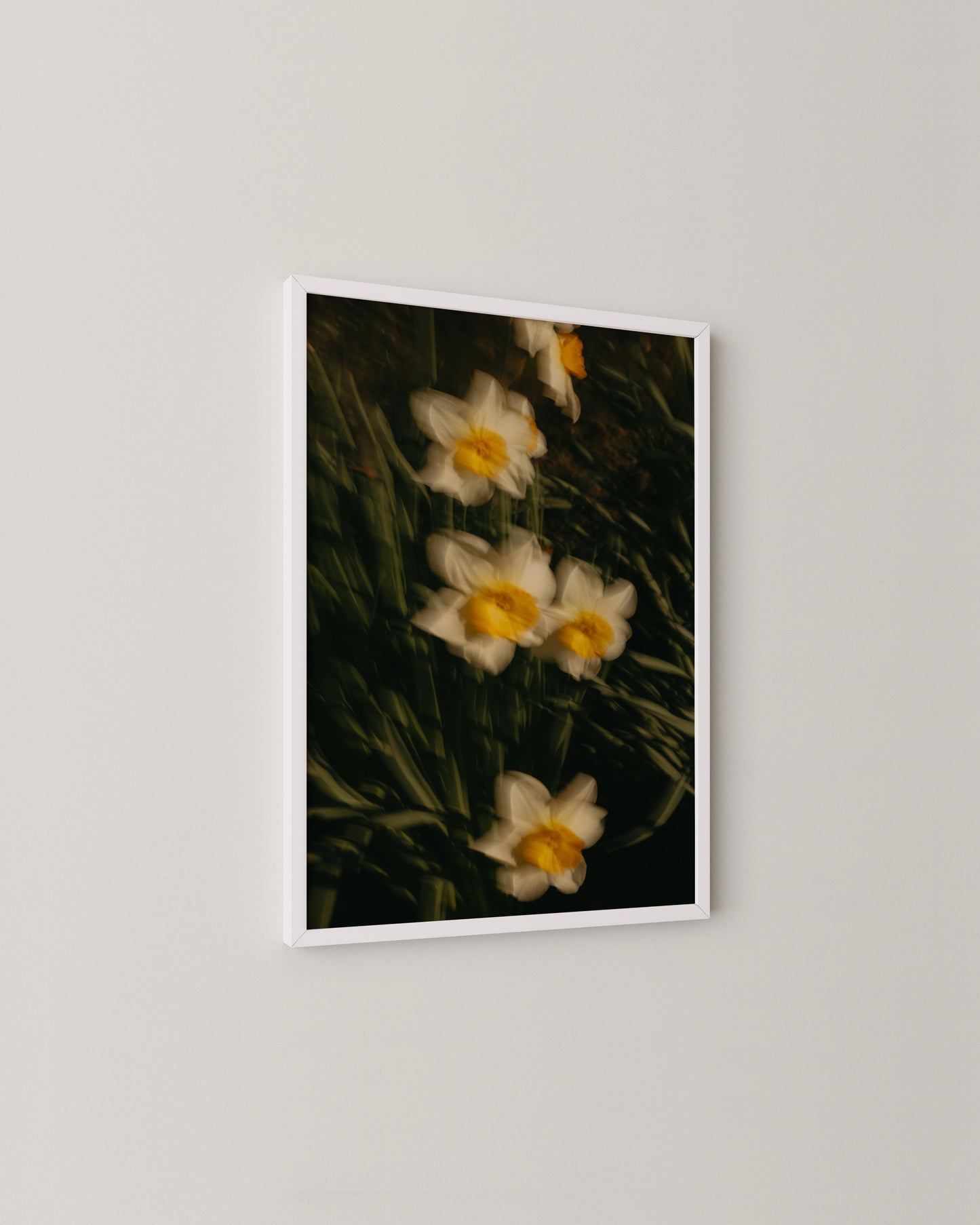 Daffodil Motion Print