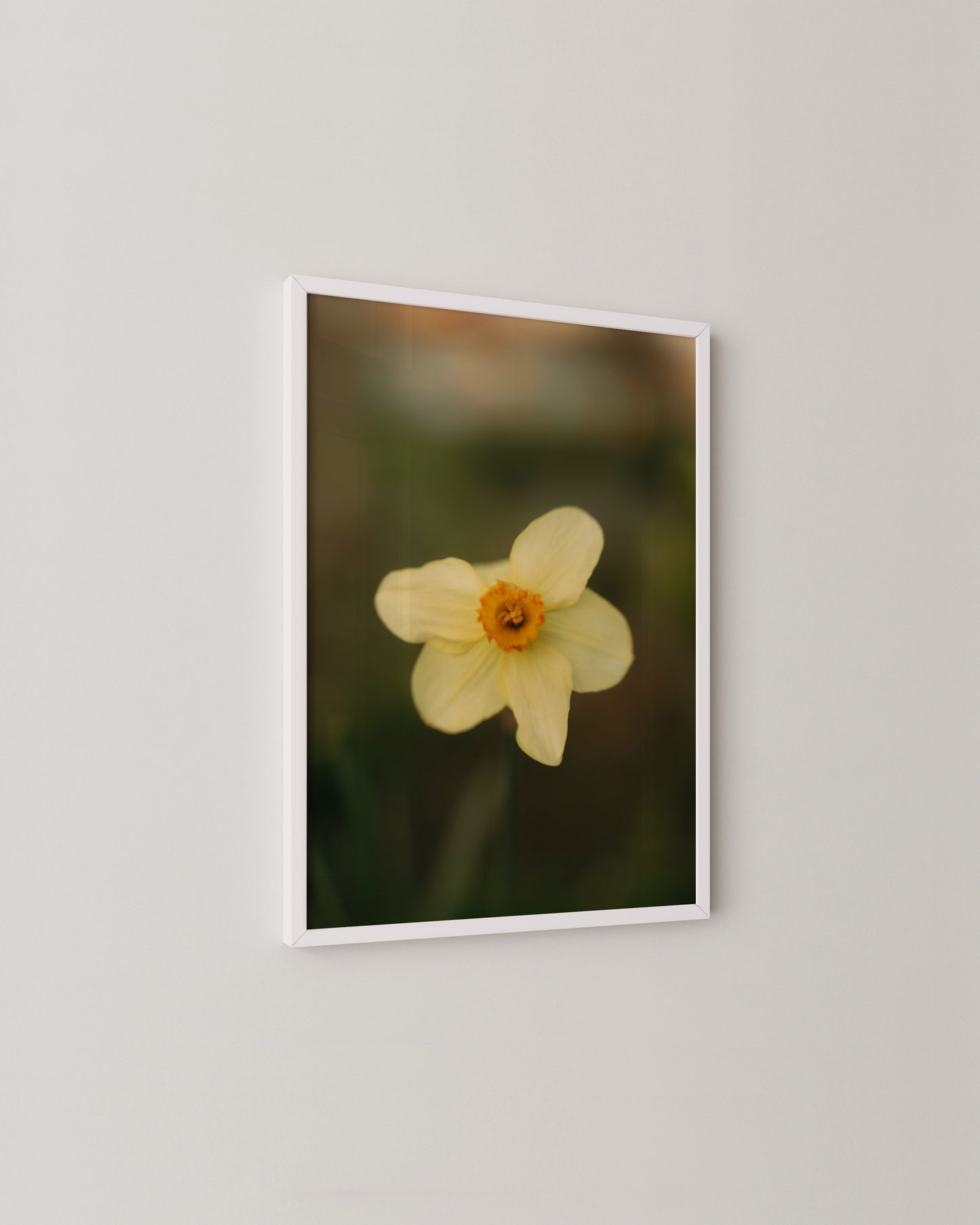 Daffodil Print