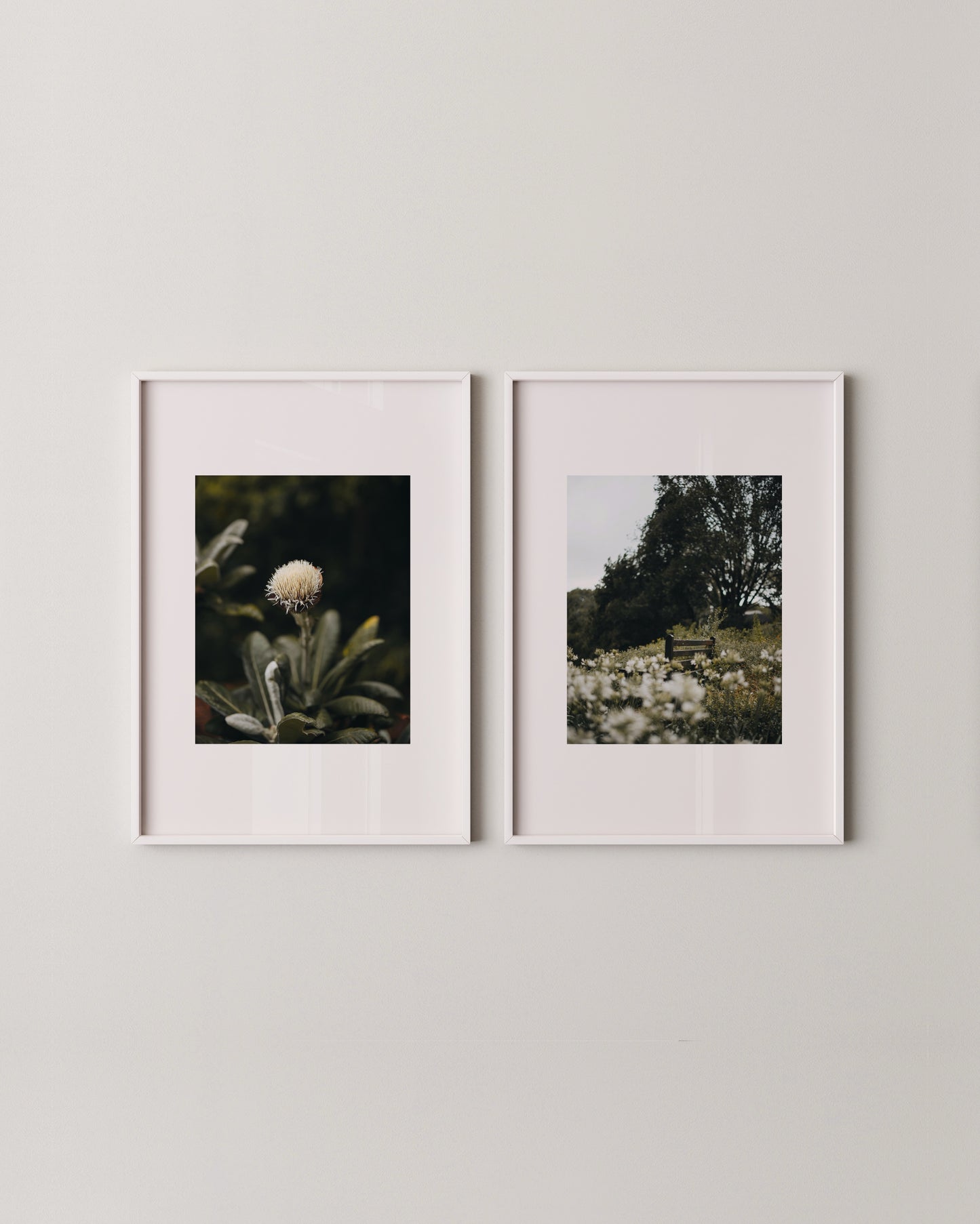 Botanical Photography Set Of 2