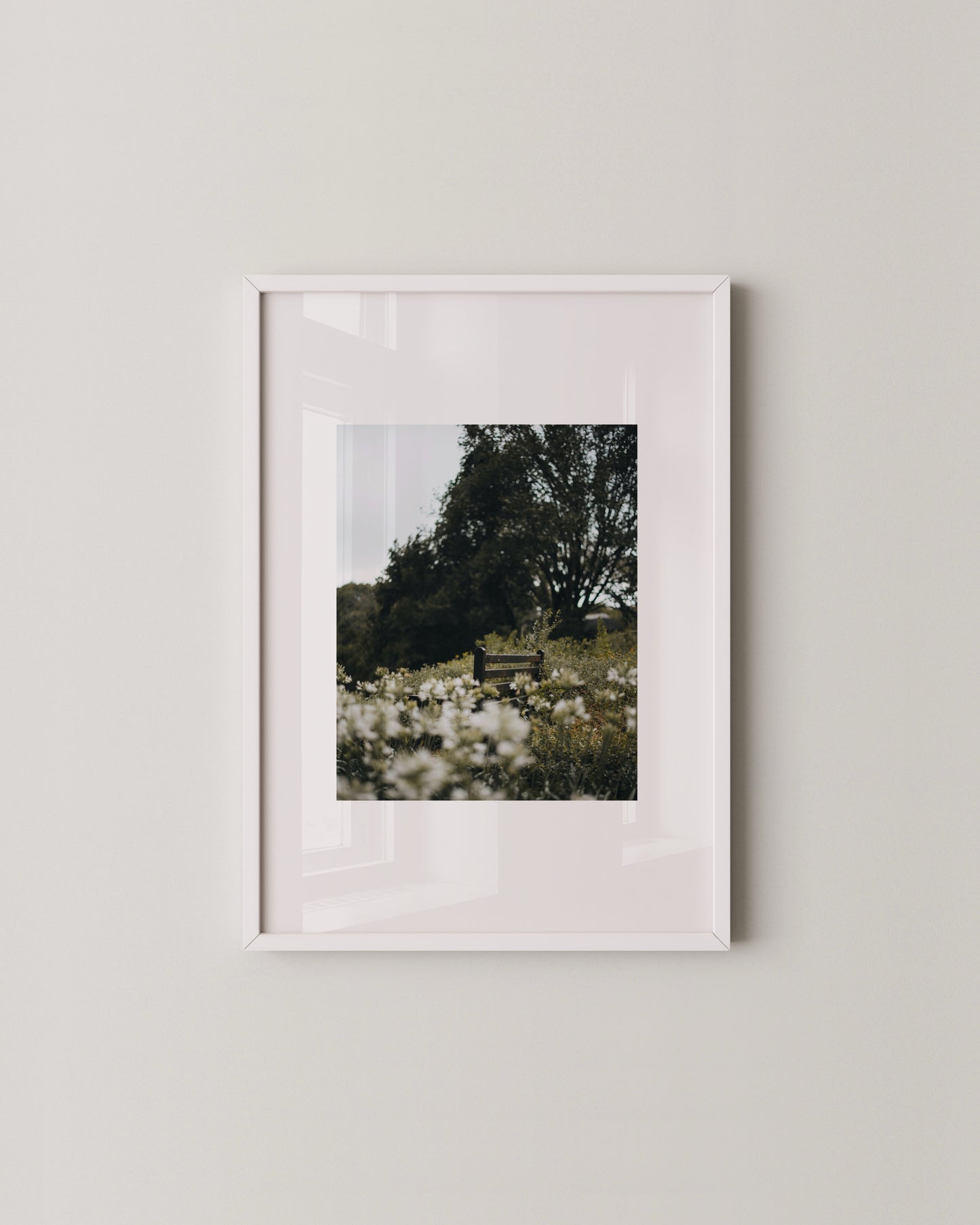 Botanical Photography Set Of 2
