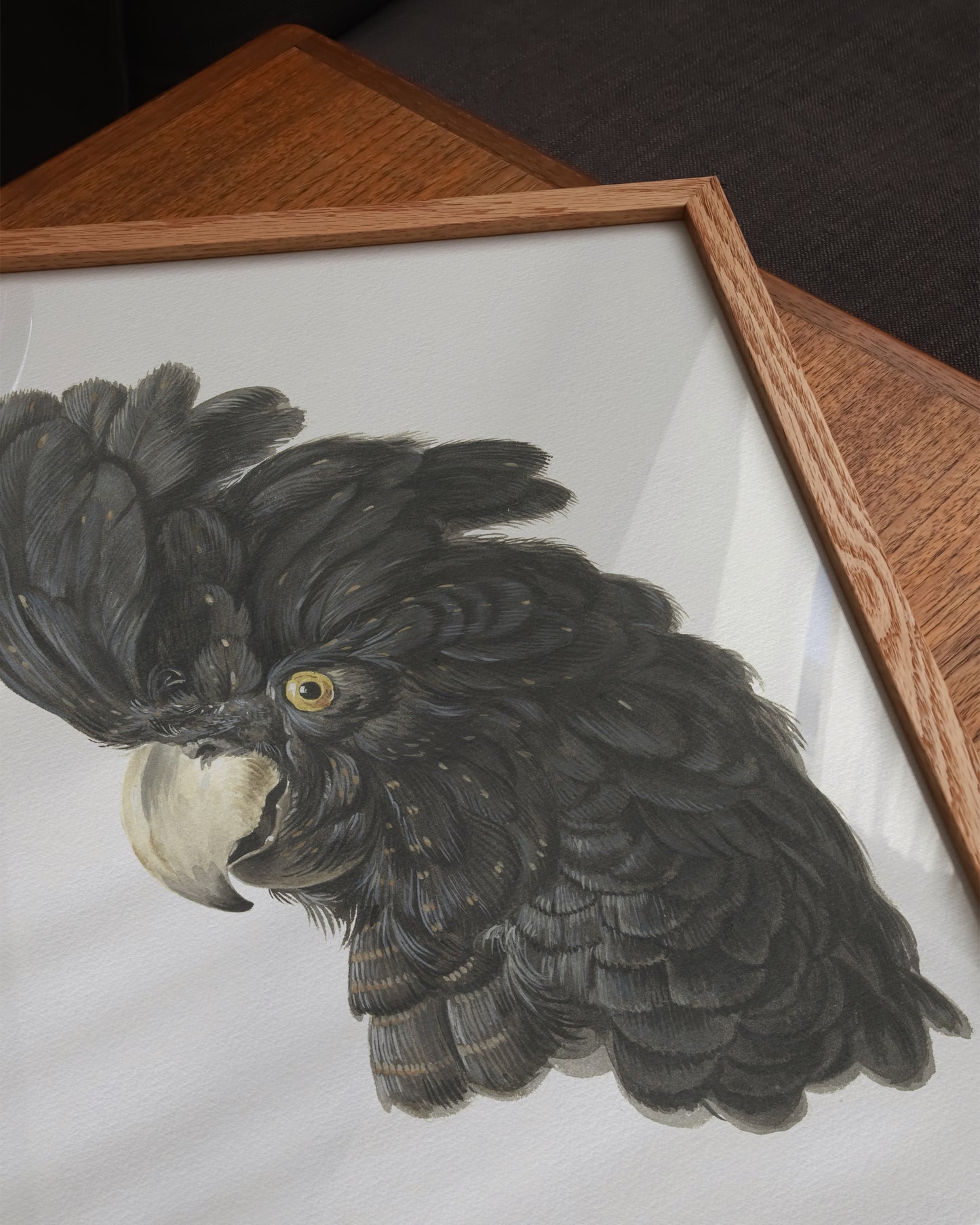 Black Cockatoo Print- Wall Art -Paperhus- Printable wall art - Instant downloads - DIY home decor -Paperhus