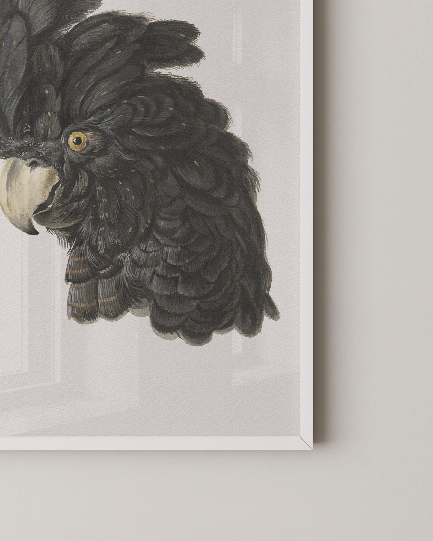 Black Cockatoo Print