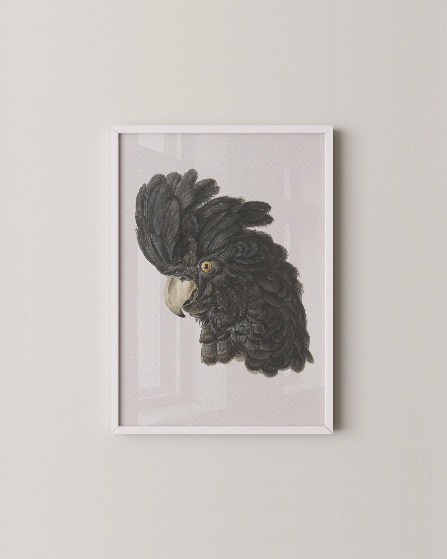 Black Cockatoo Print
