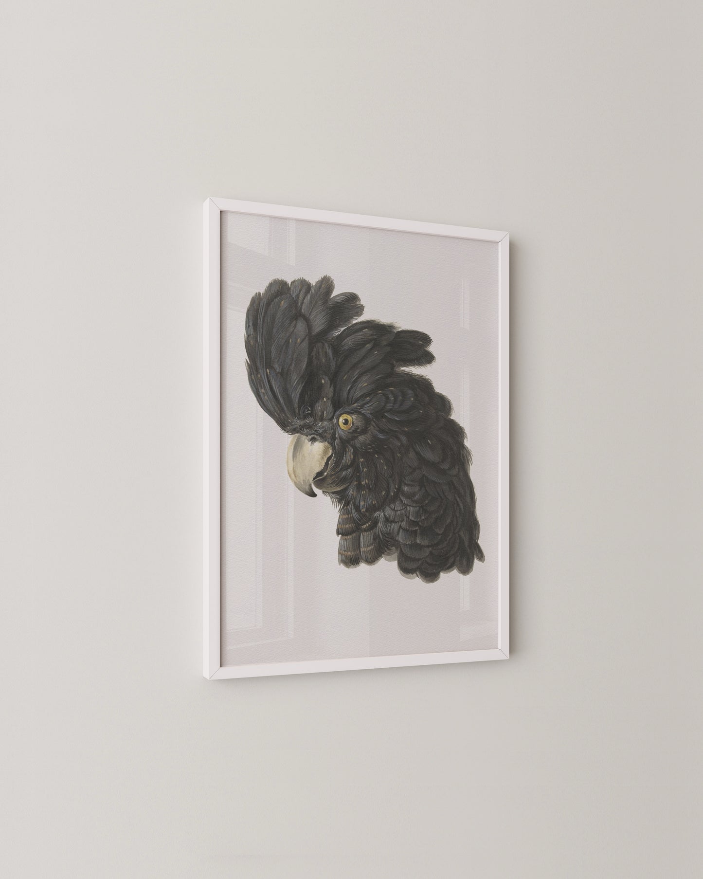 Black Cockatoo Print