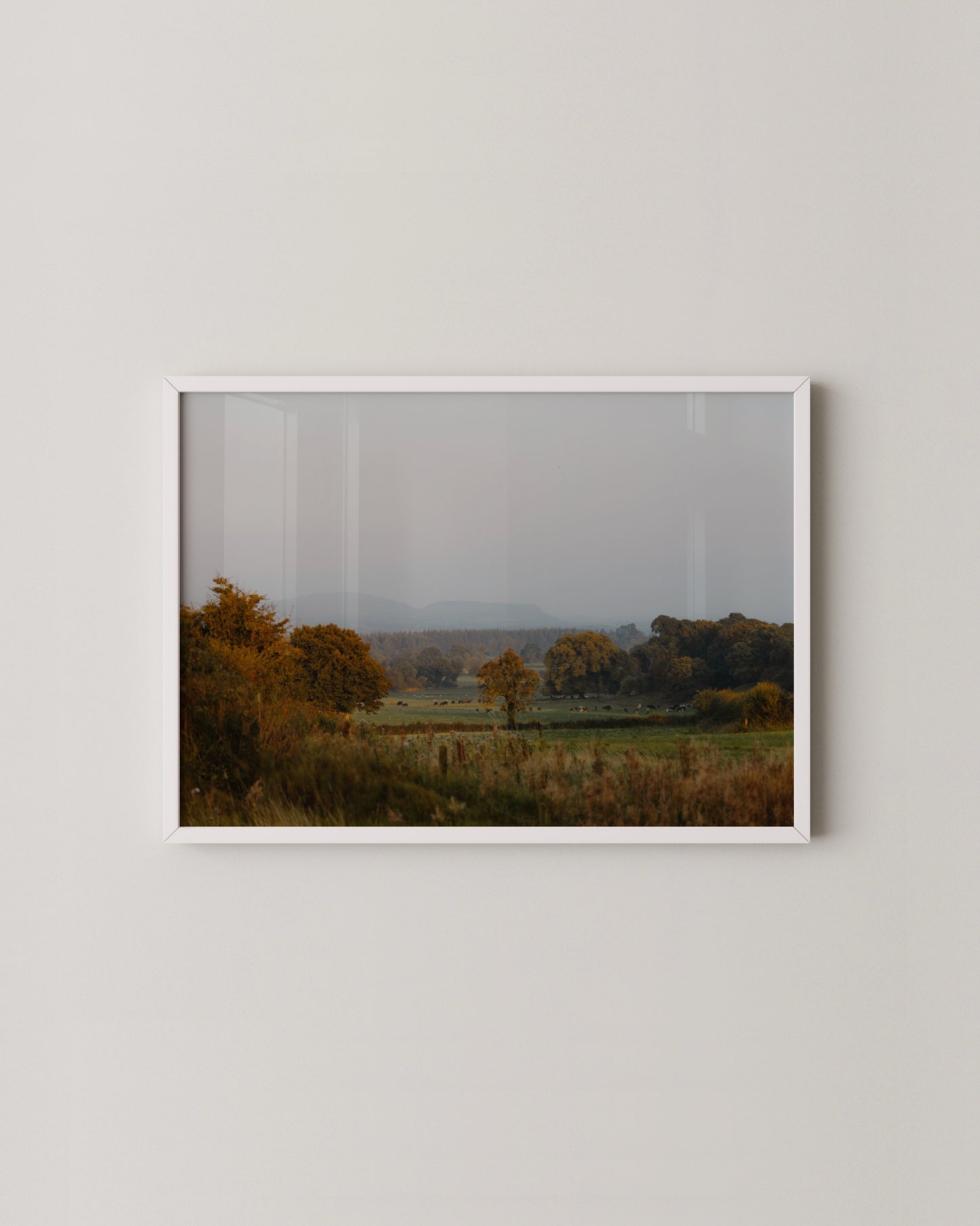 Irish Landscape Print