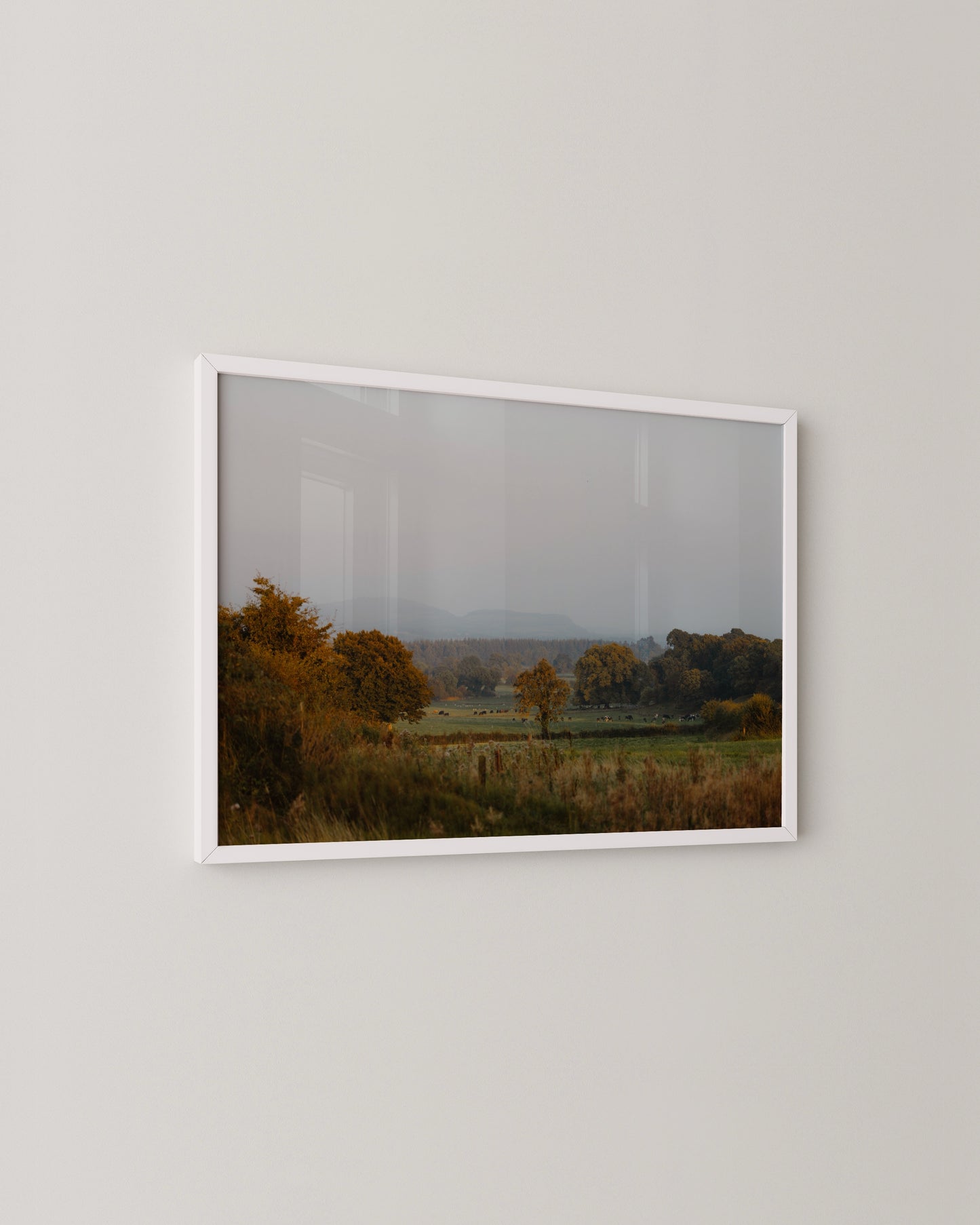 Irish Landscape Print