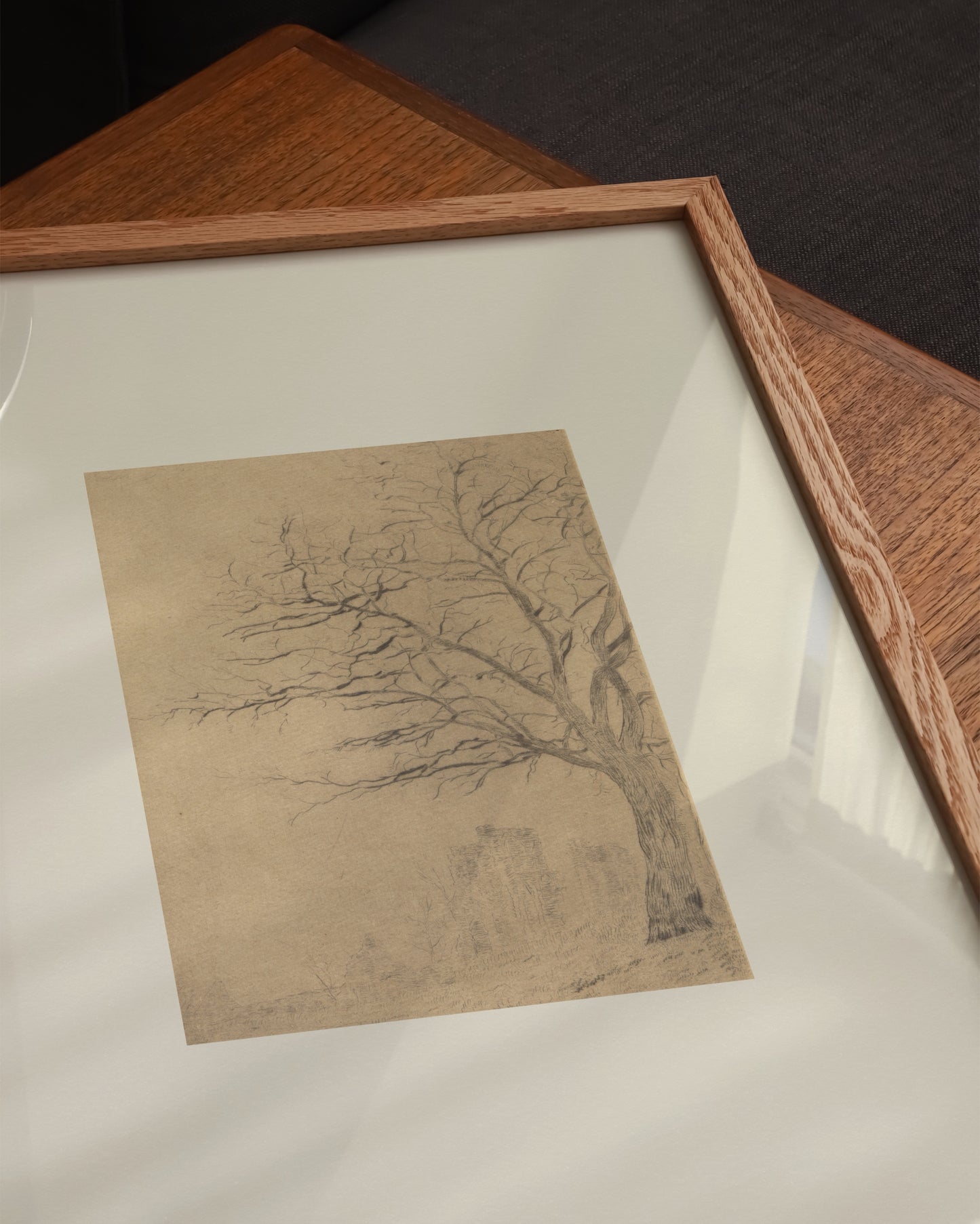 Tree Study Sketch Print- Wall Art -Paperhus- Printable wall art - Instant downloads - DIY home decor -Paperhus