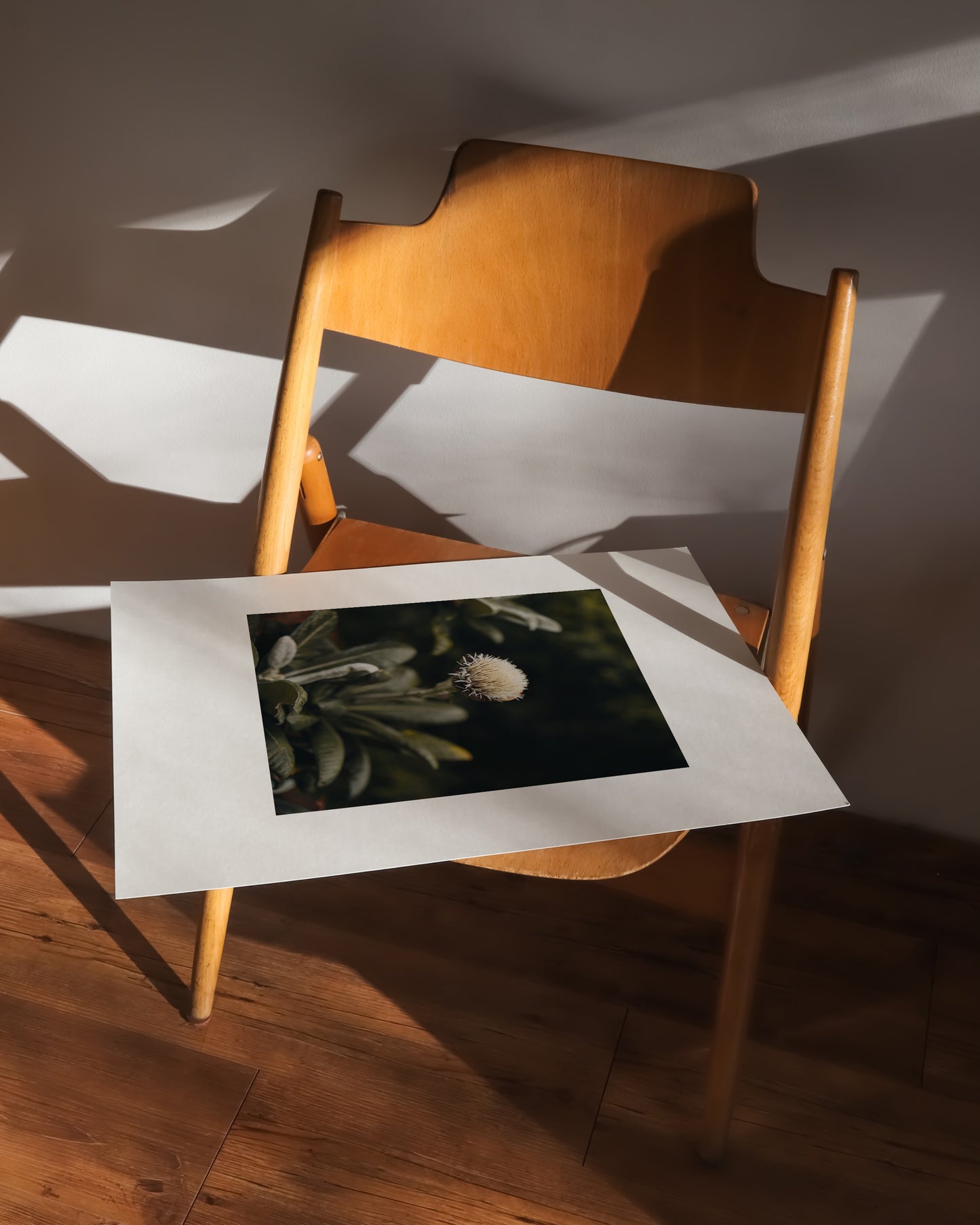 Moody Botanical Flower Print- Wall Art -Paperhus- Printable wall art - Instant downloads - DIY home decor -Paperhus