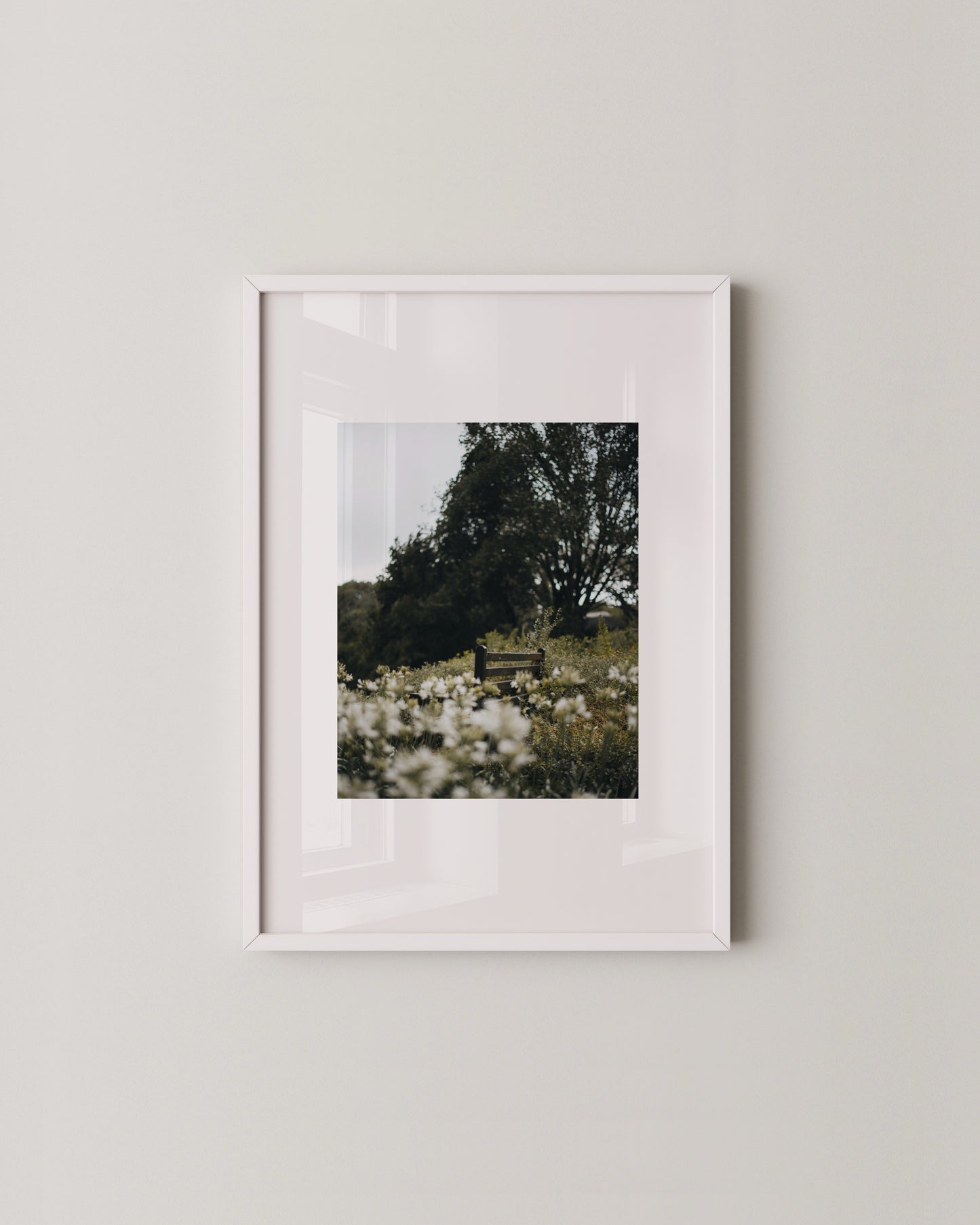 Bench in Bloom Print