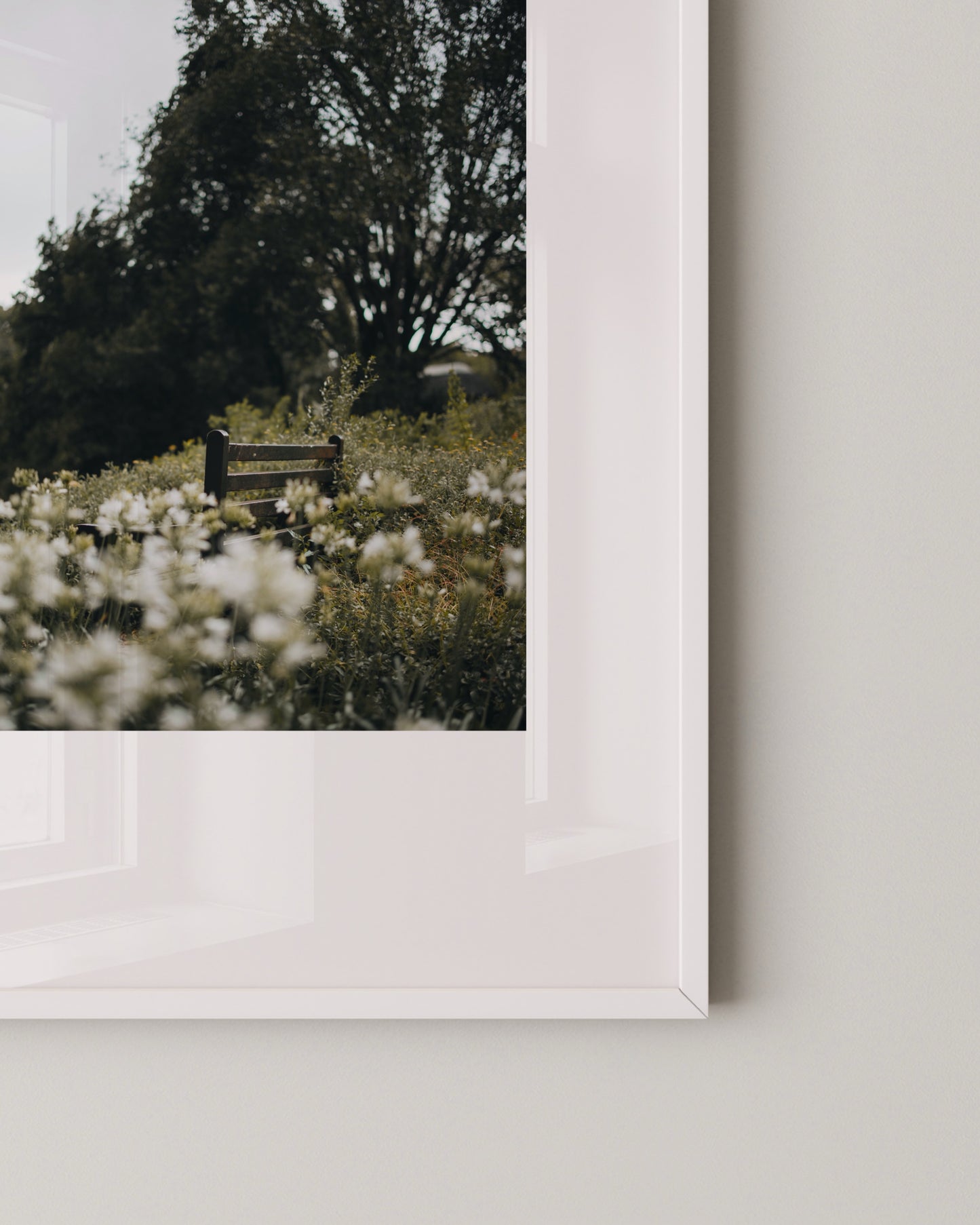 Bench in Bloom Print