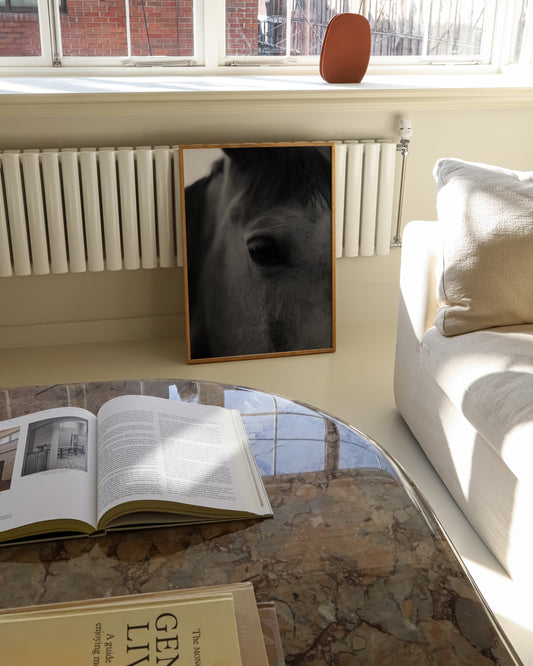 Moody Tones. Horse Portrait printable wall art by Paperhus