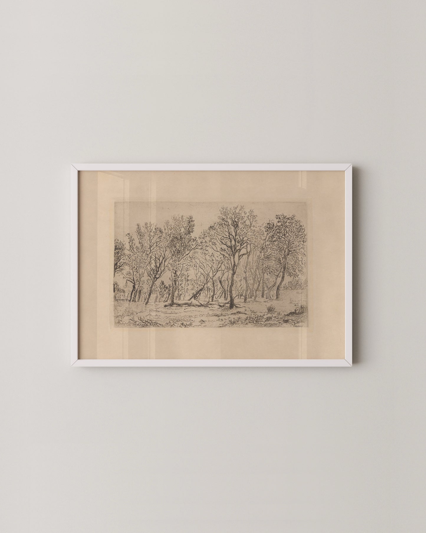 Muted Gallery Wall Set Of 7
