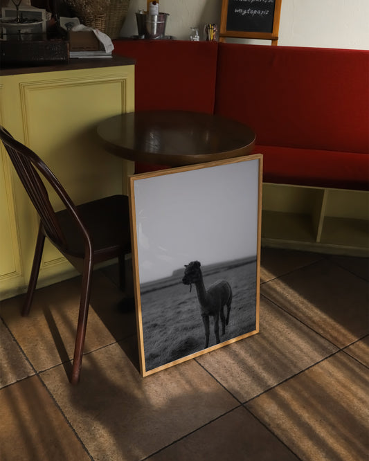 Moody Tones. Kerry Alpaca printable wall art by Paperhus