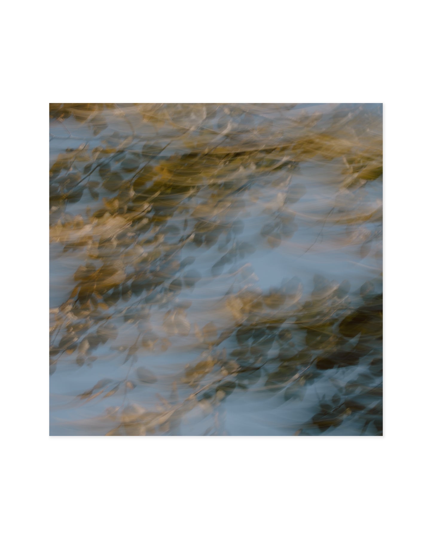 Countryside Studies. Nature In Motion printable wall art by Paperhus