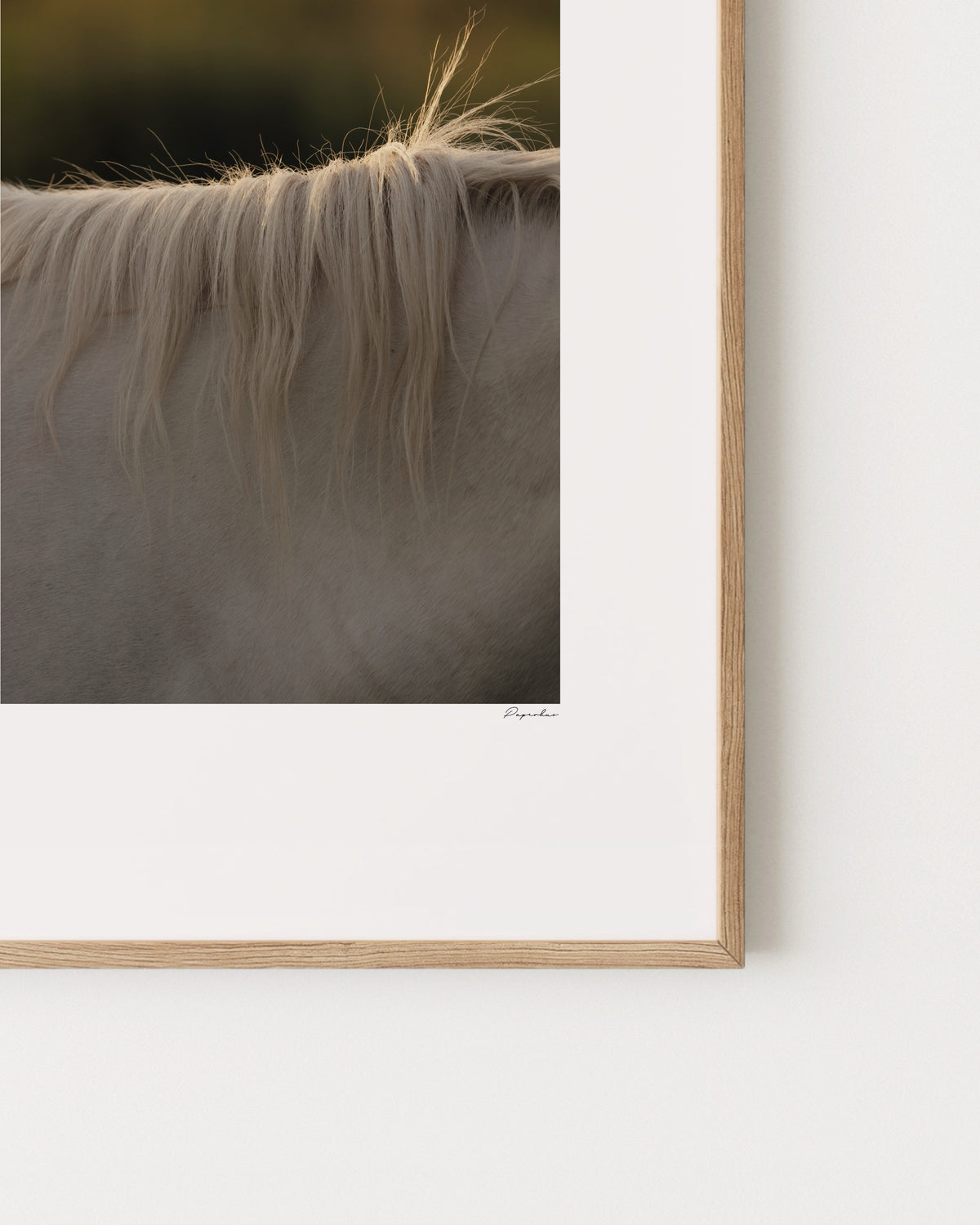 Horse Hair Photography Printable Wall Art