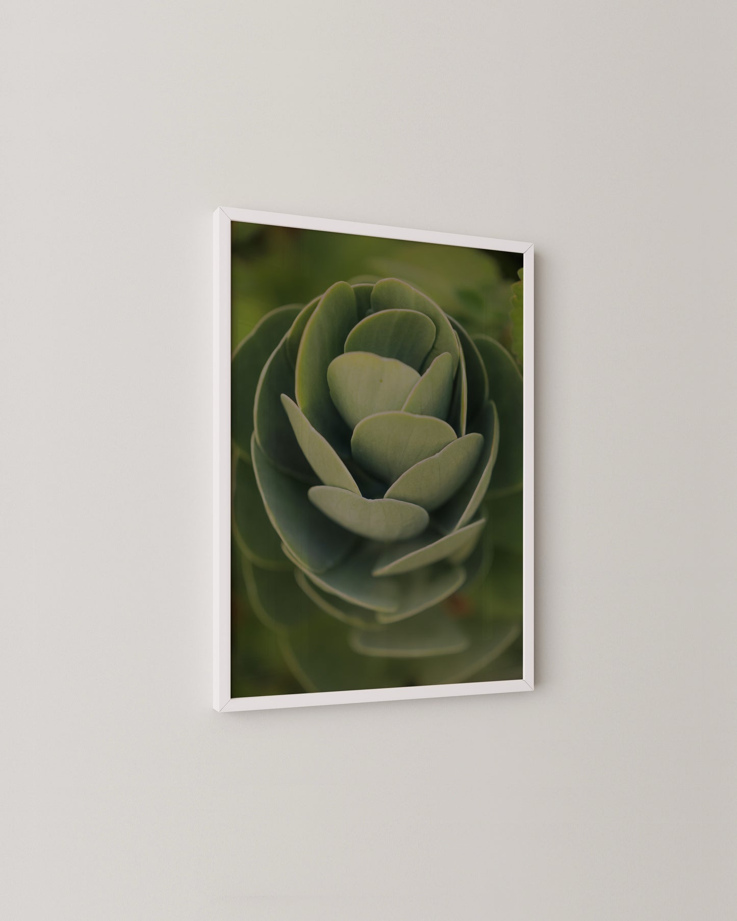 Succulent Spiral Print- Wall Art -Paperhus- Printable wall art - Instant downloads - DIY home decor -Paperhus
