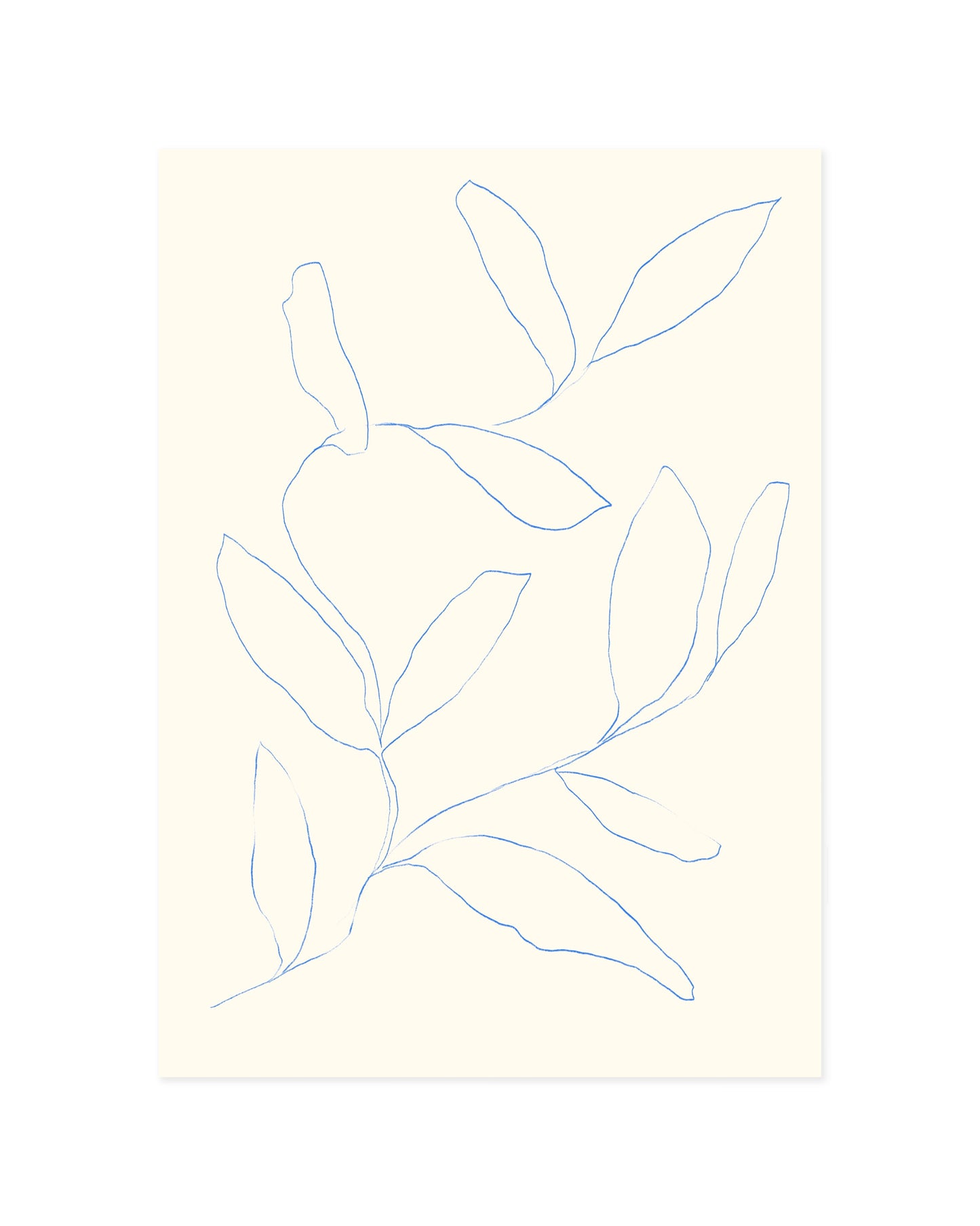 Botanical Line Printable Wall Art | Digital Download printable wall art by Paperhus