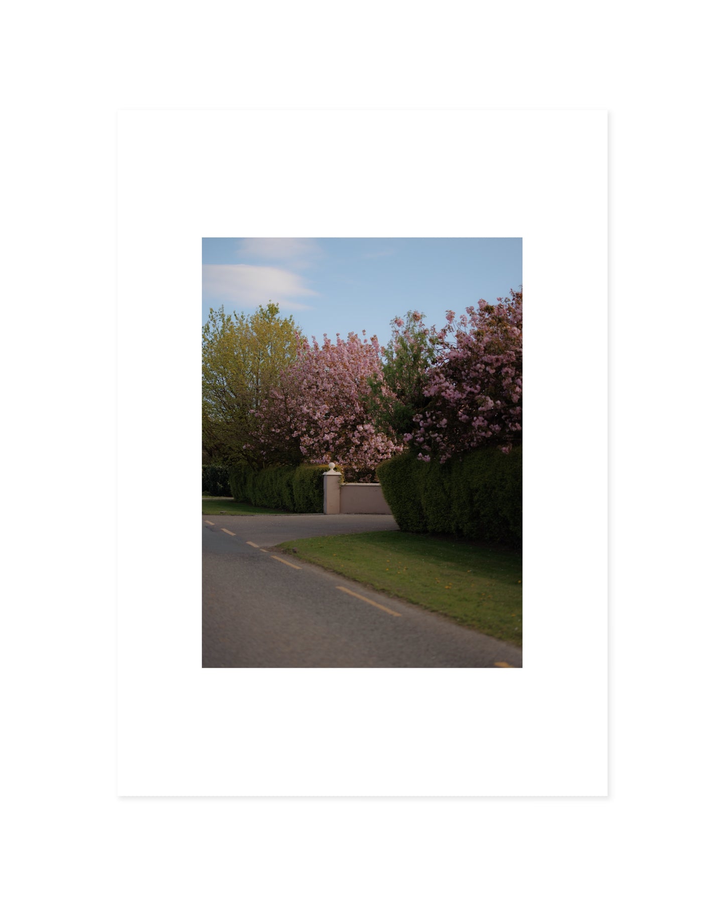Spring In Bloom. Road Scene printable wall art by Paperhus