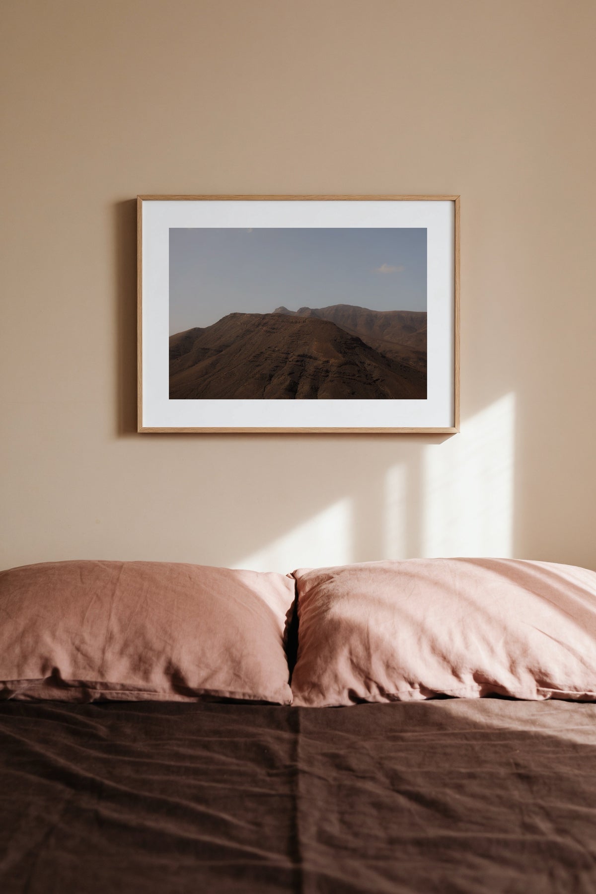 Earthy Interiors