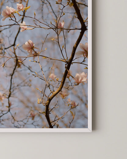 Magnolia Tree Print- Wall Art -Paperhus- Printable wall art - Instant downloads - DIY home decor -Paperhus