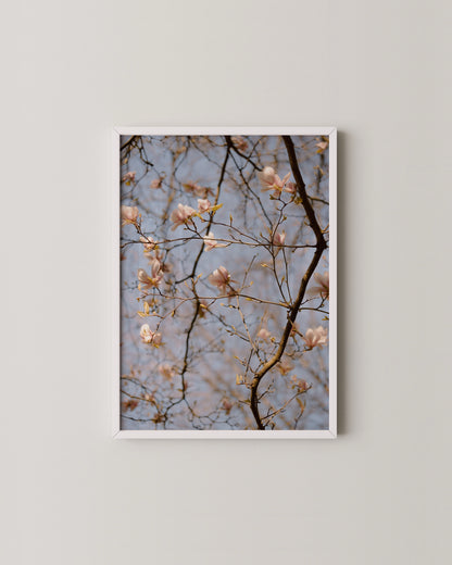 Magnolia Tree Print- Wall Art -Paperhus- Printable wall art - Instant downloads - DIY home decor -Paperhus
