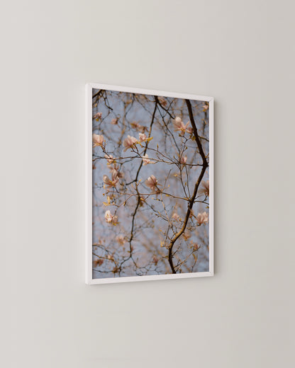 Magnolia Tree Print- Wall Art -Paperhus- Printable wall art - Instant downloads - DIY home decor -Paperhus
