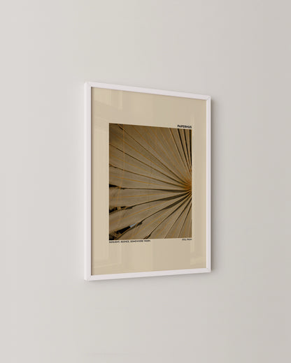 Still Palm Print | Photography Poster