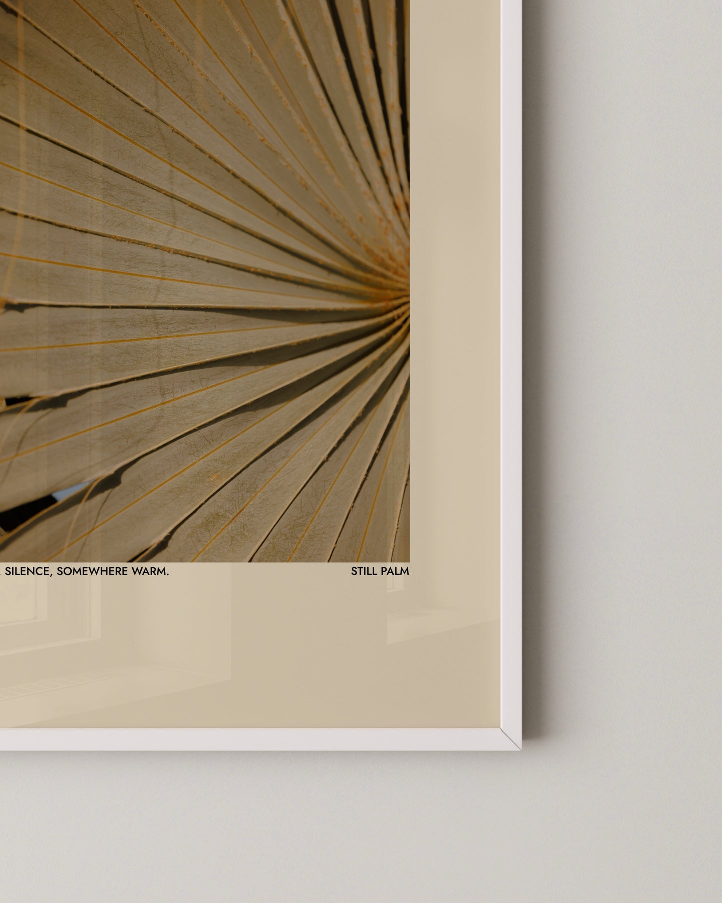 Still Palm Print | Photography Poster