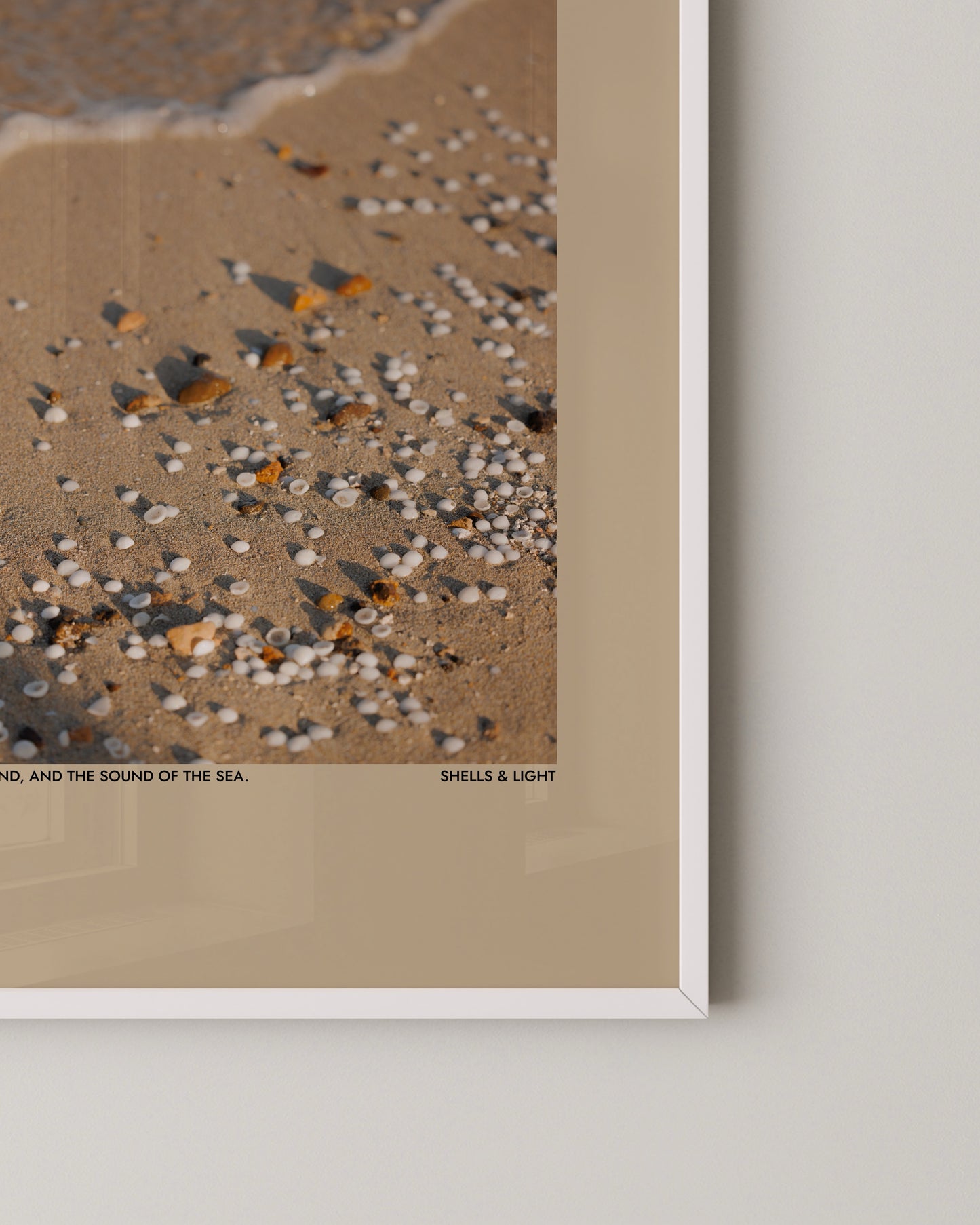 Shells & Light Print | Photography Poster