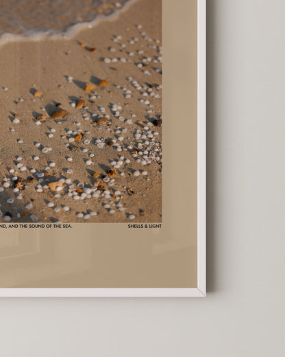 Shells & Light Print | Photography Poster