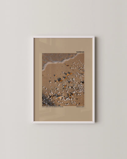 Shells & Light Print | Photography Poster
