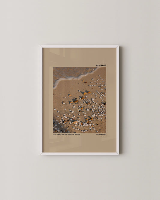 Shells & Light Print | Photography Poster