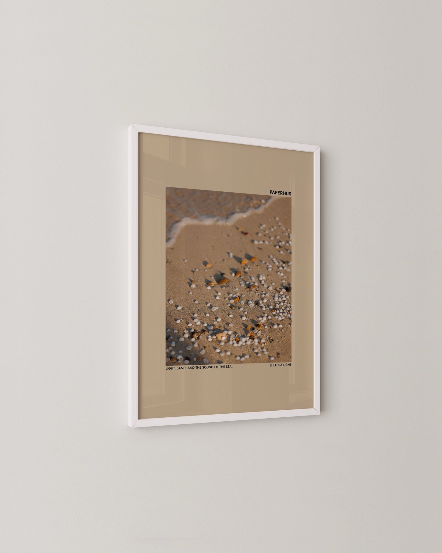 Shells & Light Print | Photography Poster