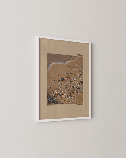 Shells & Light Print | Photography Poster