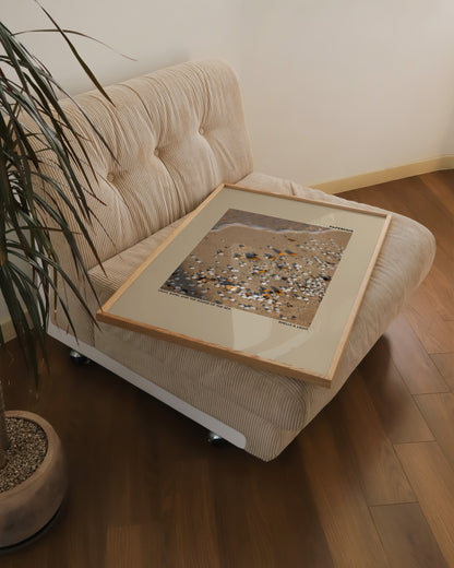 Shells & Light Print | Photography Poster