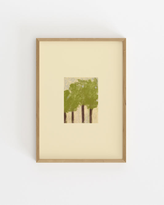 Earth Series. Trees In Spring