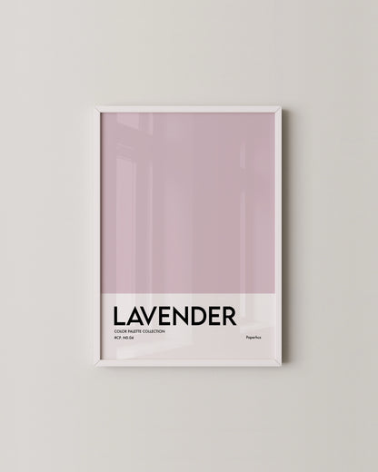 Gallery Set Of 4 | Calming Decor