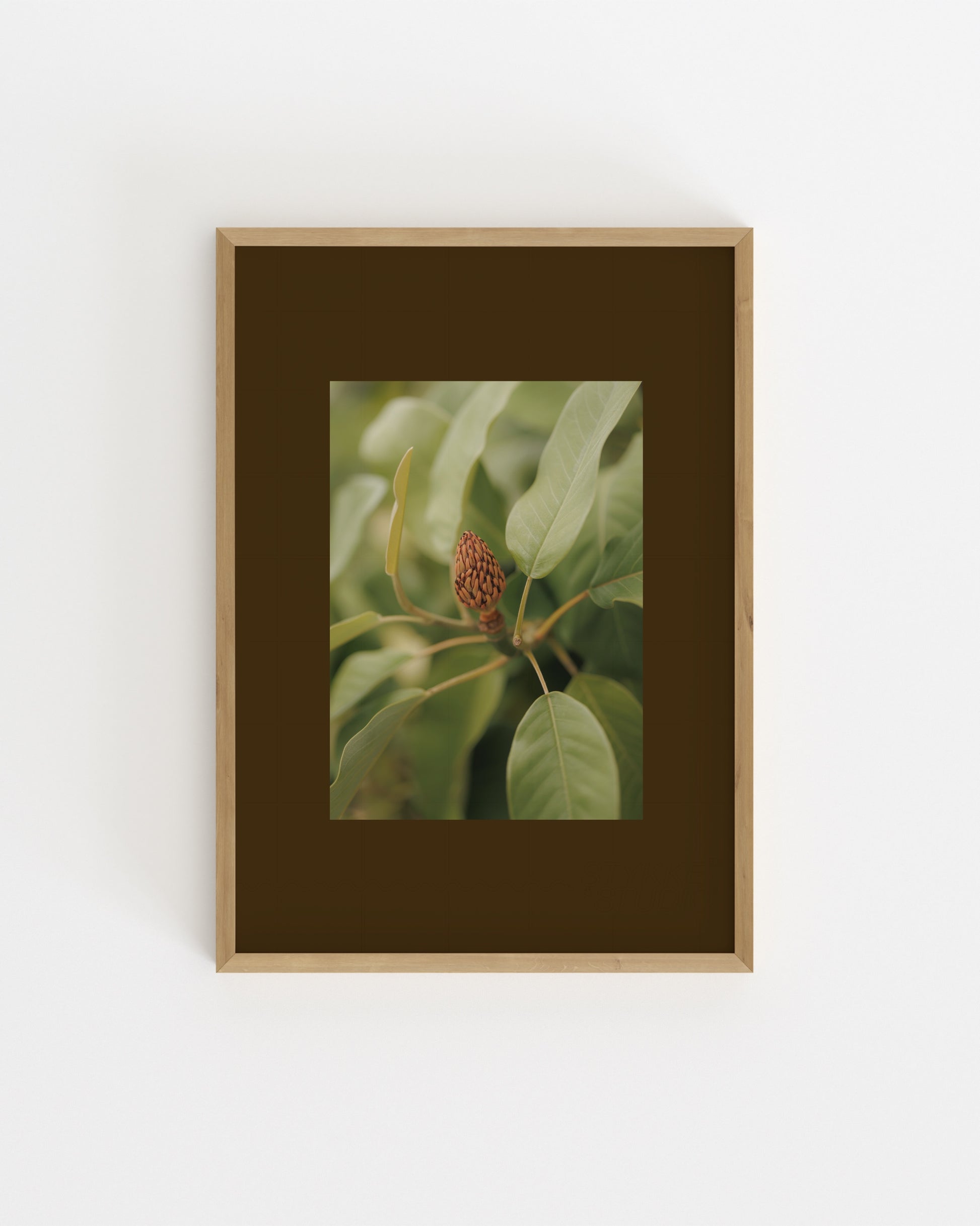 Botanical Photography Printable Wall Art | Digital Download printable wall art by Paperhus