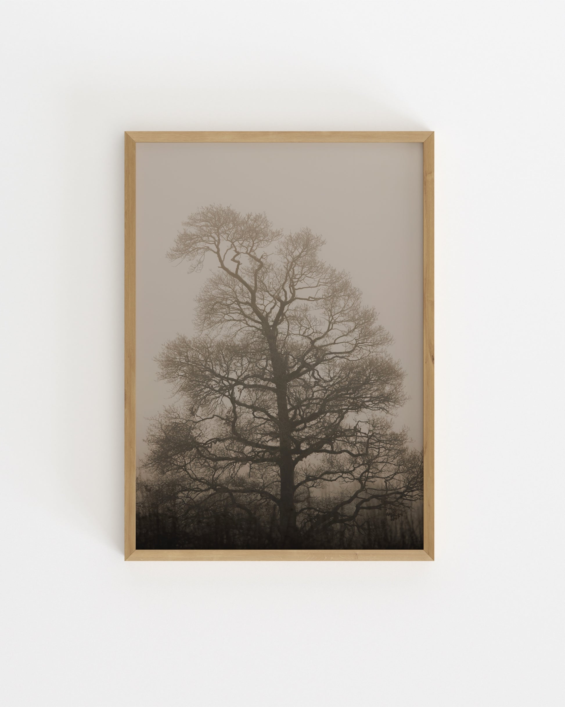 Photography. Set printable wall art by Paperhus
