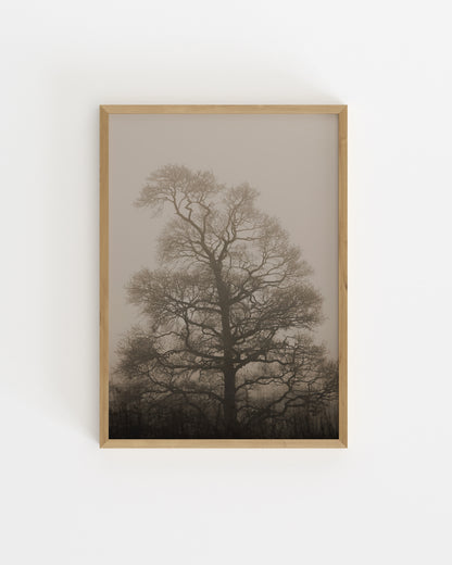 Photography. Set printable wall art by Paperhus