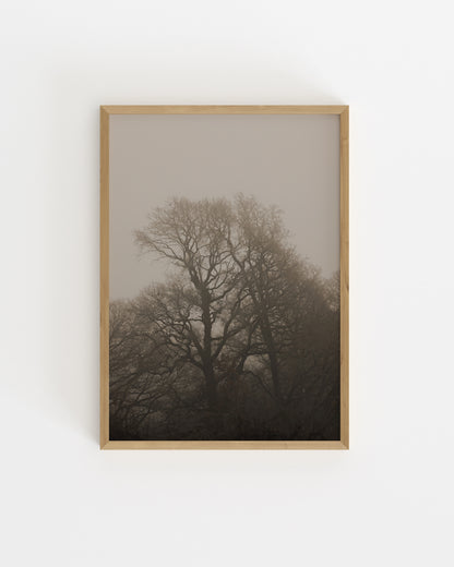 Photography. Set printable wall art by Paperhus