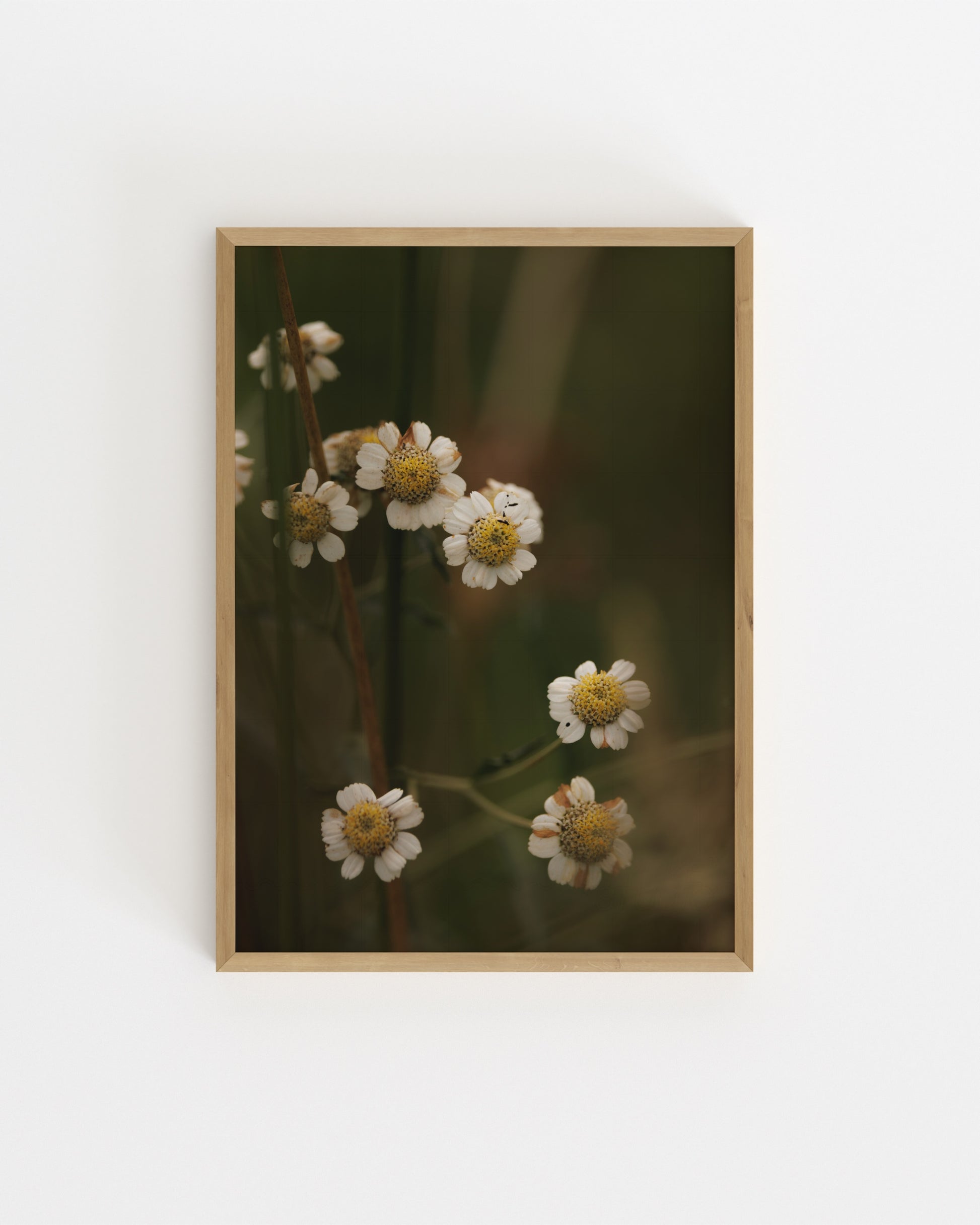Gallery Printable Wall Art Set | Digital Download printable wall art by Paperhus